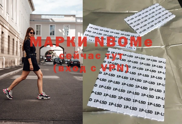 прущие грибы Няндома