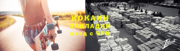 прущие грибы Няндома