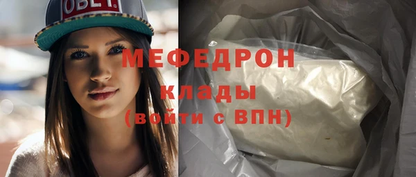 прущие грибы Няндома