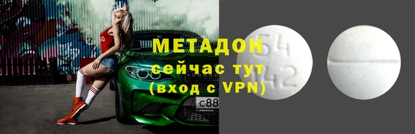 прущие грибы Няндома