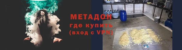прущие грибы Няндома