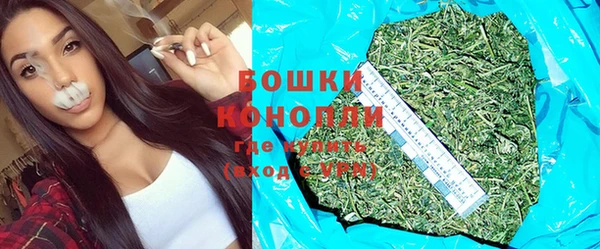 прущие грибы Няндома