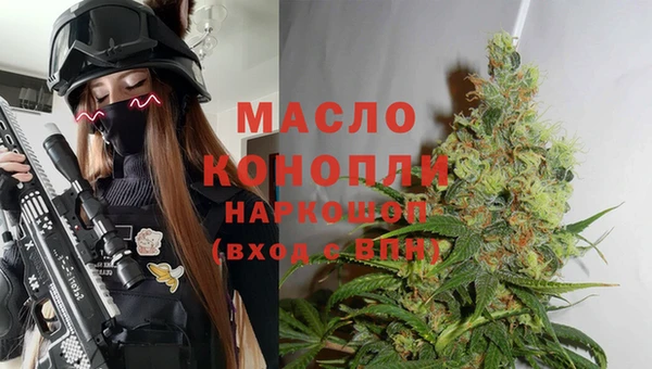 прущие грибы Няндома