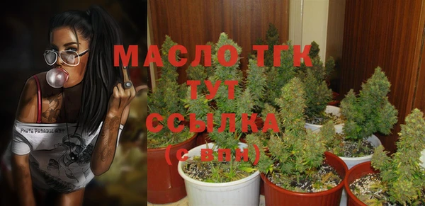 прущие грибы Няндома
