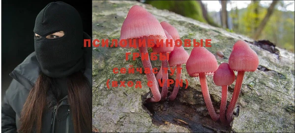 прущие грибы Няндома