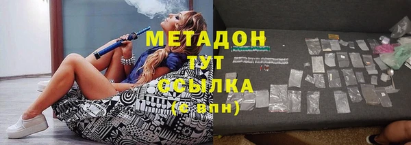 прущие грибы Няндома